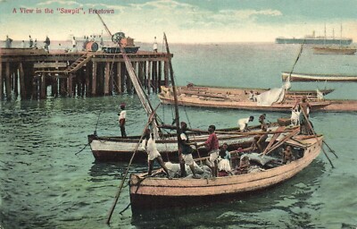 PC SIERRA LEONE AFRICA FREETOWN VIEW IN THE SAWPIT VINTAGE POSTCARD (b58952)