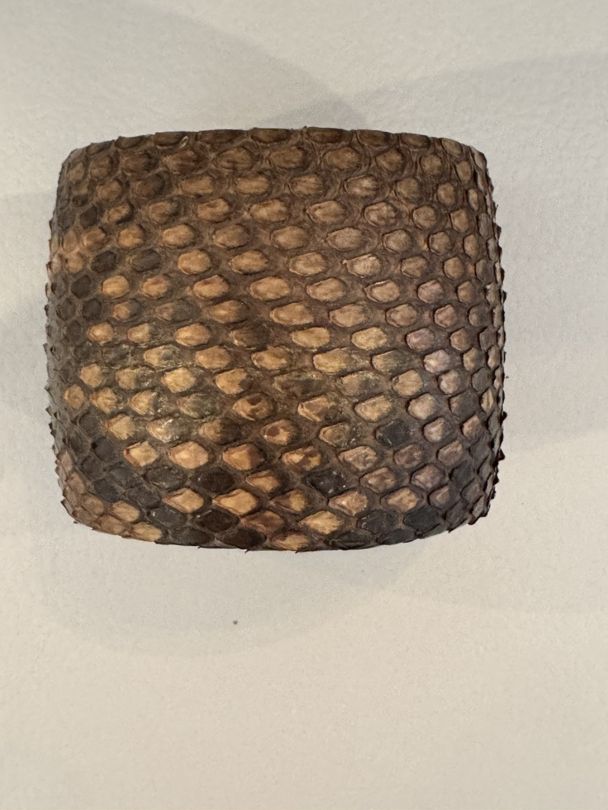 TED ROSSI Black Python Studded Silver Stud Crysta… - image 1