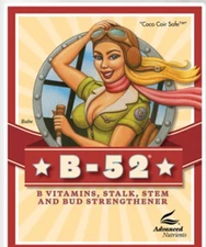 Advanced Nutrients B52 & Advanced Nutrients Nirvana 90mL Each