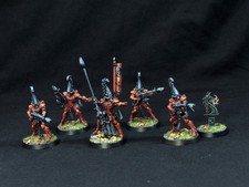 Pro painted W40k Aeldari Fire Dragons squad