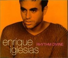 The Rhythm Divine von Enrique Iglesias | CD | Zustand gut