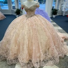 Princess Quinceanera Dresses Ball Gown Applique Beading Sweet 15 16 Prom Dress