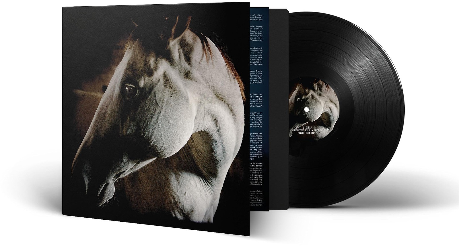 Brother Dege How To Kill A Horse (Vinyl LP)