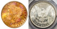 1886-P PCGS MS63 MORGAN $ - EXTENSIVE DEEP COLOR! - TONED RAINBOW (VIDEO)