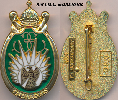 13° Dragons Parachutiste,relief,aigle sur blanc,translucide doré,Bous 983(2801)