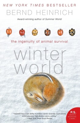 Winter World: The Ingenuity Of Animal Survival