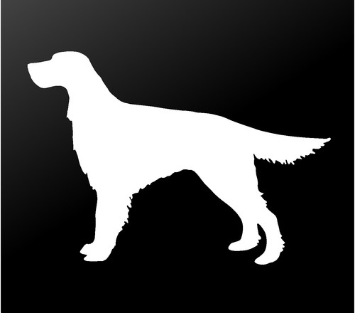 Adesivo silhouette cane decalcomania vinile irlandese finestrino auto laptop setter rosso cane - Foto 6 di 12