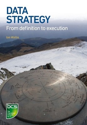 Ian Wallis Data Strategy (Paperback) (UK IMPORT)