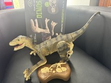 Dinosaur Toy