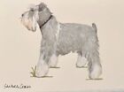 Miniature Schnauzer Original Watercolor by Sandra Coen Standing