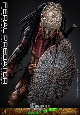 Hot Toys TMS114 Feral Predator 1/6 Action Figure Model IN STOCK | eBay