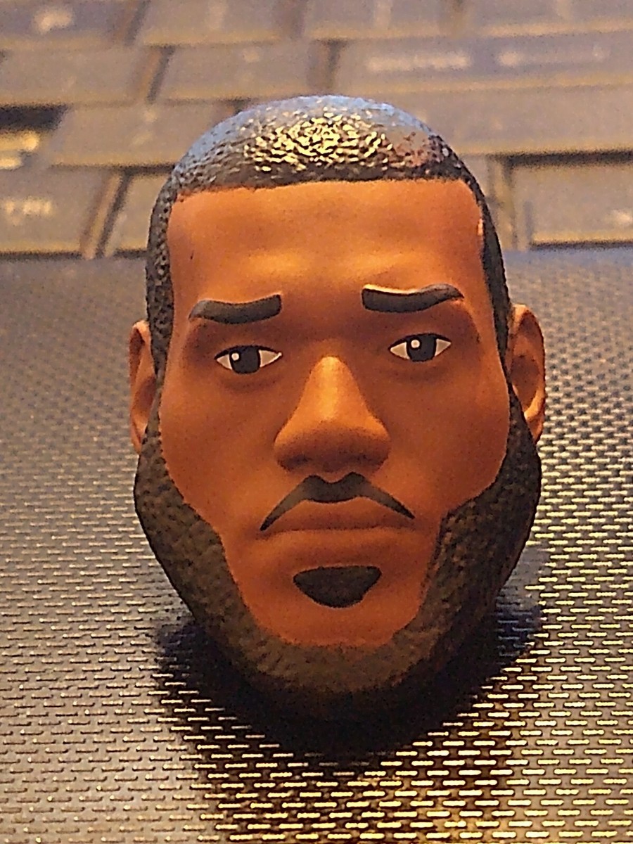 Lebron James Head