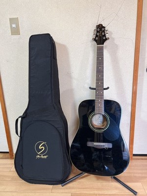 Greg Bennett D-2/BK Akustikgitarre mit Koffer
