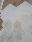 Bild 16 von 19