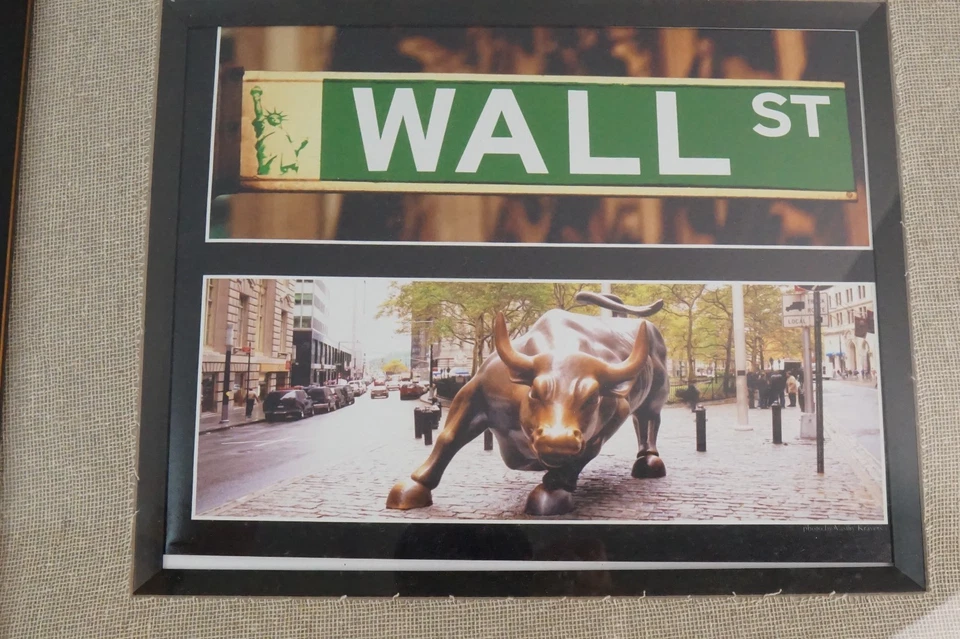 华尔街公牛相框照片 11X14 — 第 4/4 张图片