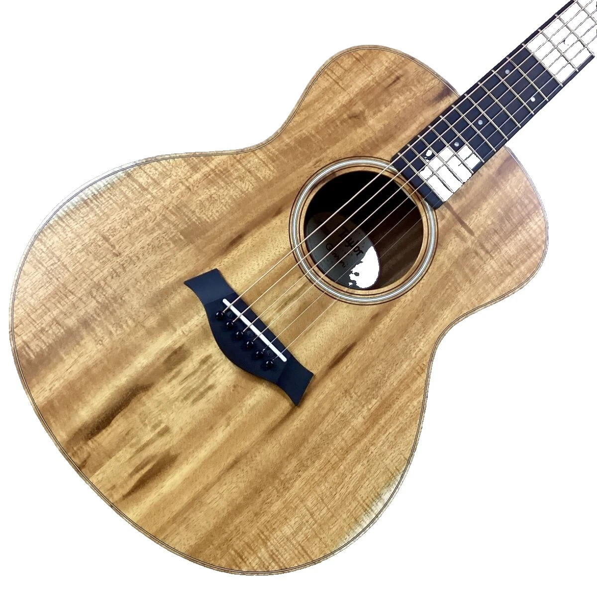 Taylor Solid Acoustic Electric Guitars