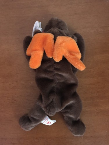 Chocolate The Moose Beanie Baby - Picture 2 of 8
