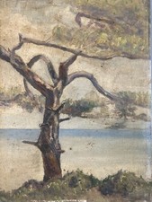 Beautiful Oil Painting Wood Panel 1920 Landscape Antique Tree Signed to Identify