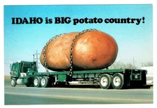 Idaho is BIG Potato Country Continental Postcard Exaggeration Russet Potato ID