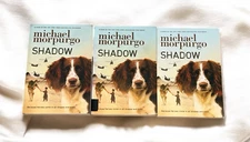 Set 3 Shadow Guided Reading Literature Circle Classroom Teacher Historical War