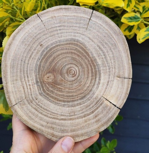 1-50 Stck. 2-23CM Birkenholz Holzscheiben Scheiben Rund Weihnachten Rustikales Handwerk - Bild 21 von 29