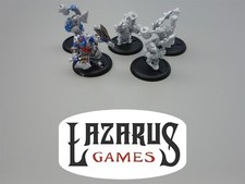Hordes: Trollbloods - Trollkin Champions Privateer Press 