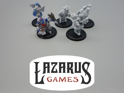 Hordes: Trollbloods - Trollkin Champions (Privateer Press)