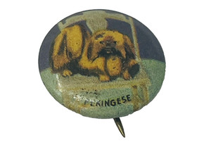 Pekingese Button Pin Back Pinback Vintage Puppy Dog