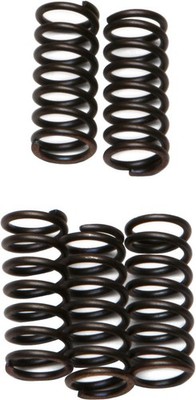 EBC CSK Clutch Spring Kit CSK42