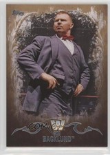 2016 WWE Undisputed Tag Team Championship Bronze 49/99 Bob Backlund Patch 0w6