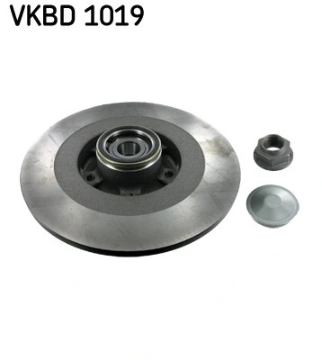 2Er Set Bremsscheiben SKF Vkbd 1019 Renault 40 20 200 03R 40 20 222 91R-image