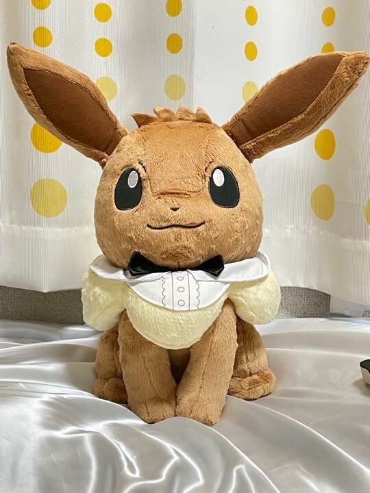 Ichiban kuji Pokemon EIEVUI＆MELODIES A Plush staring at eevee