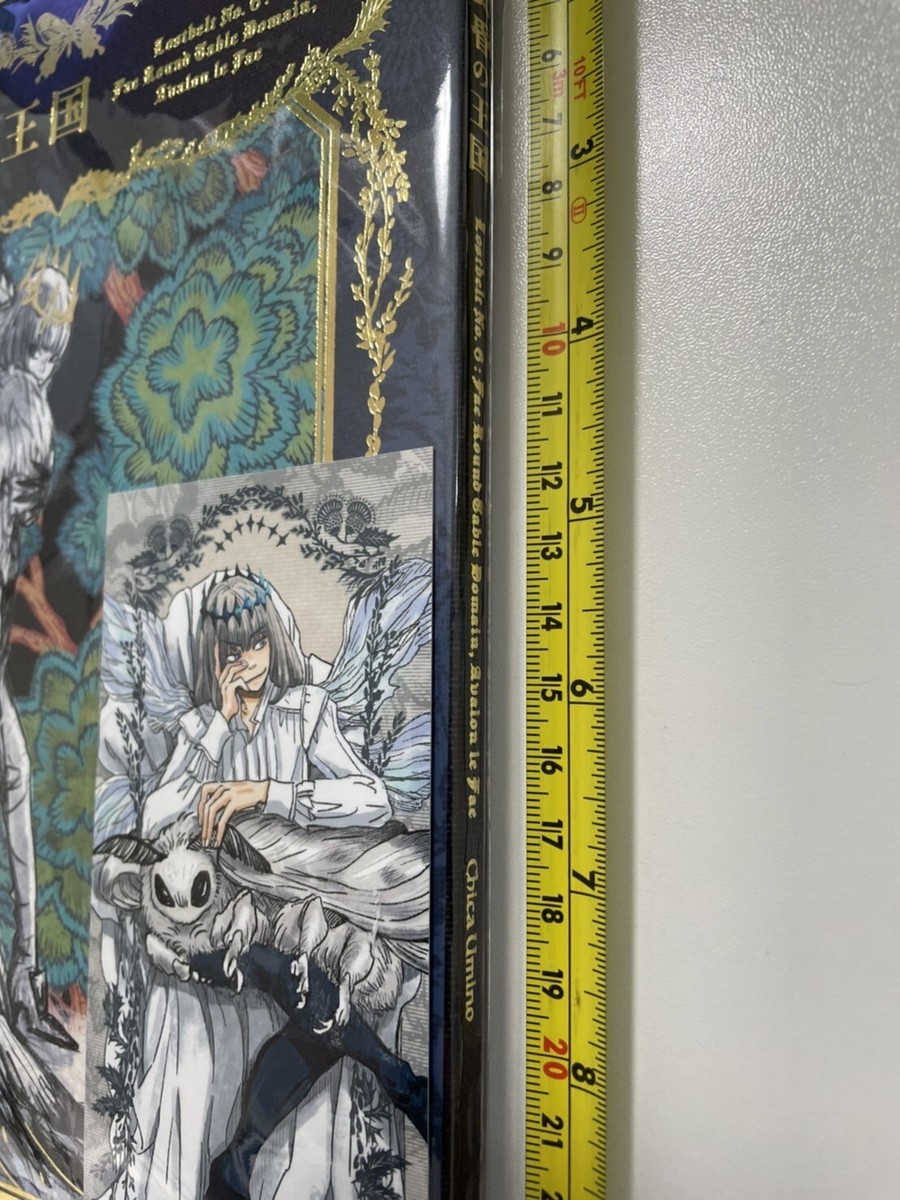 fate chika umino Lostbelt No. 6 Oberon doujinshi art book sheet