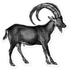 Ibex - Vinyl Decal Sticker - Car Window Laptop - ebn9648