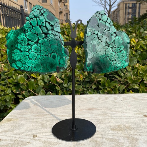 4.41LB Rare Malachite Wings - Natural Green Crystal Sample - 第 1/12 張圖片