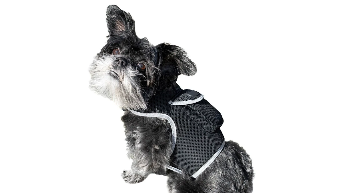 Ebay top pet tracker