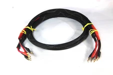 APEX AUDIO ICTL TO ICTL WITH CARDAS SPADES MADE IN U.S.A. 5 FEET. (PAIR)