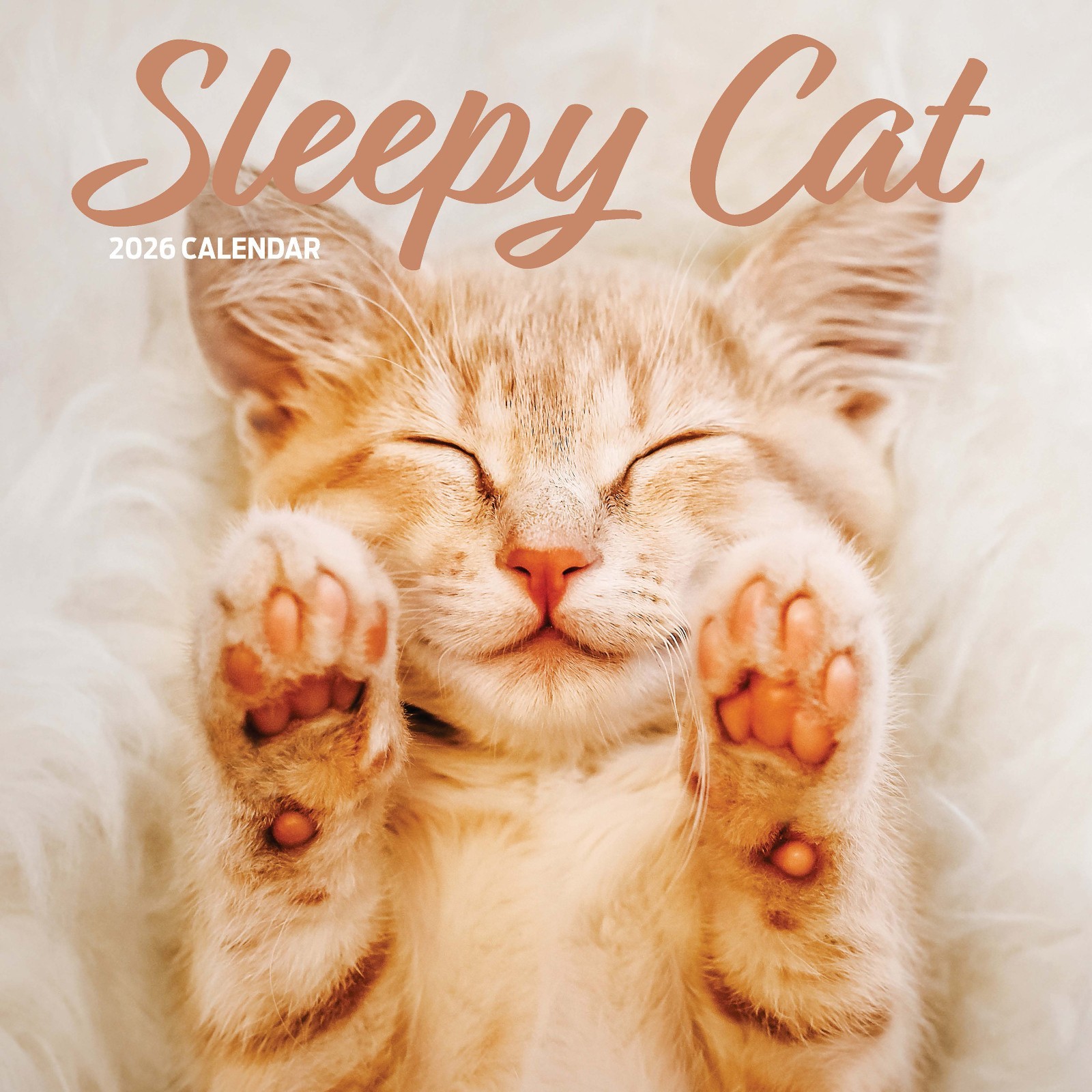 Sleepy Cat 2026 Calendar