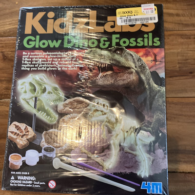 NEW IN BOX KIDZLABS GLOW DINO AND FOSSILS 4M KIT NEW