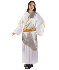 Adult Women's Toga Costume I Soft Synthetic Fabric I Perfect For Halloween,