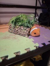 Decorative Cave Handmade Out Of Recycled Materials Perfect For Aquarium/vivarium