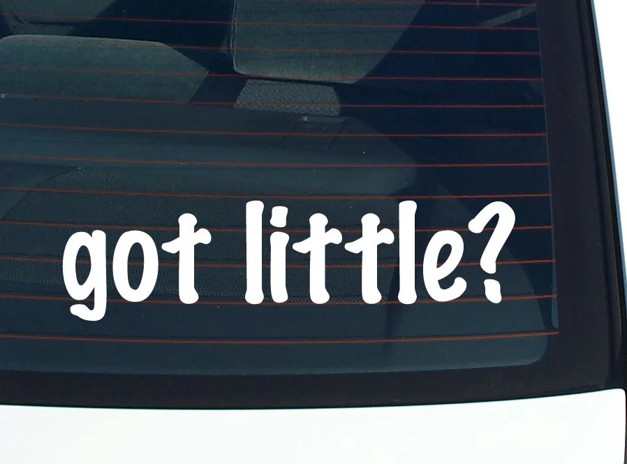 got little? FUNNY VINYL CAR DECAL STICKER FAMILY LAST NAME