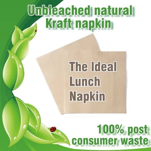 Recycled Post Consumer Napkins Compostable Unbleached Eco Lunch Napkins 50 Pcs D - Picture 2 of 7