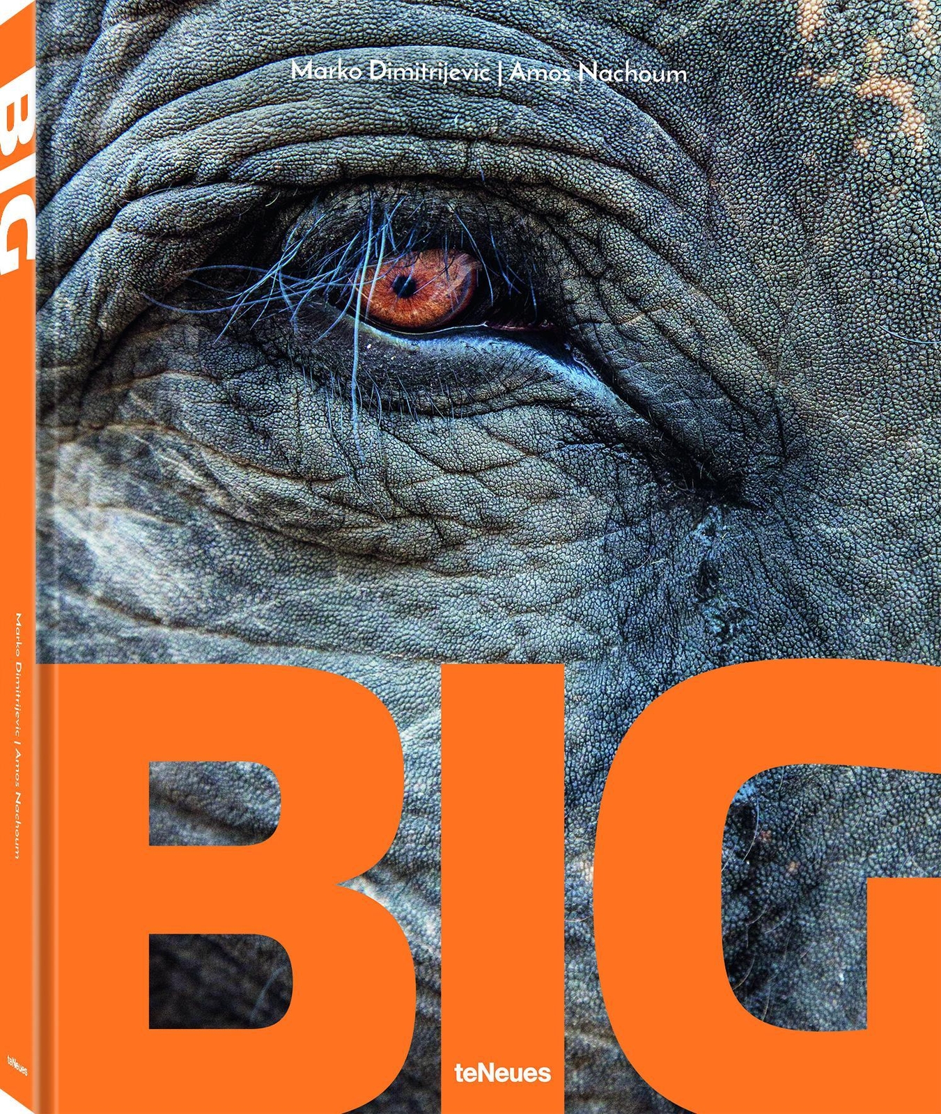 Thumbnail - Big Amos Nachoum