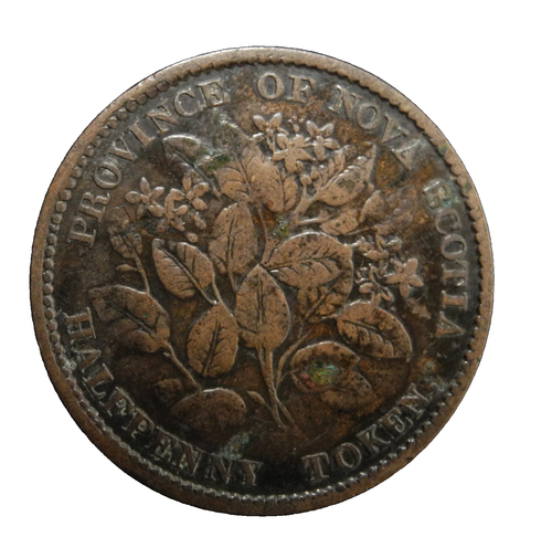 Nova Scotia 1856 Victoria Half Penny 1/2 C Looks Better In Hand ecoinsales - Bild 2 von 2