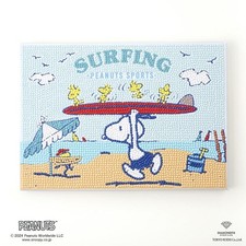 Diamond Fix Kit Snoopy B5 PN001  004