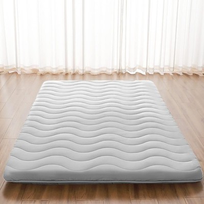 Colchoneta De Espuma Twin 39x80 Para Dormir En El Suelo Adulto Colchon En Oferta