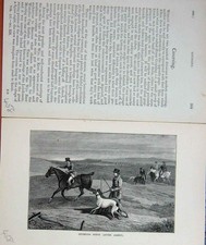 Original Old Antique Print Baily'S Magazine 1889 Horse Hunting Coursing Hares
