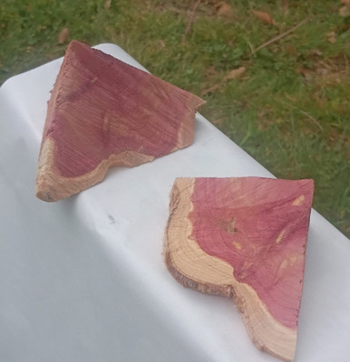 Cedar Live Edge Wood 2 Pieces Rough Cut door stop