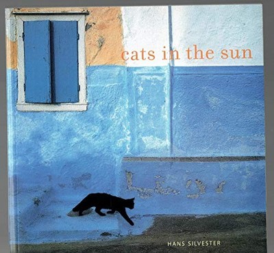 Cats In The Sun - GOOD